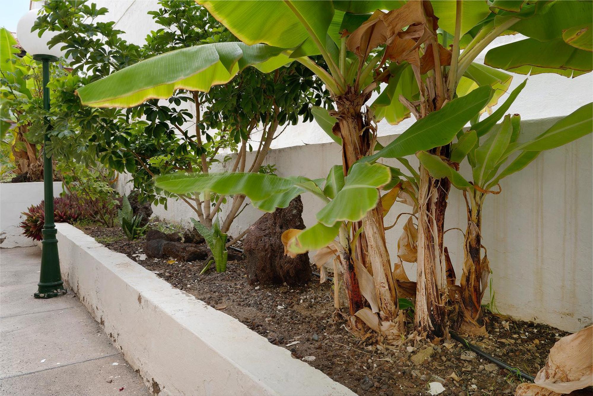 Pippa'S House San Agustín Exterior foto